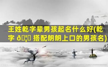 王姓乾字辈男孩起名什么好(乾字 🦆 搭配朗朗上口的男孩名)